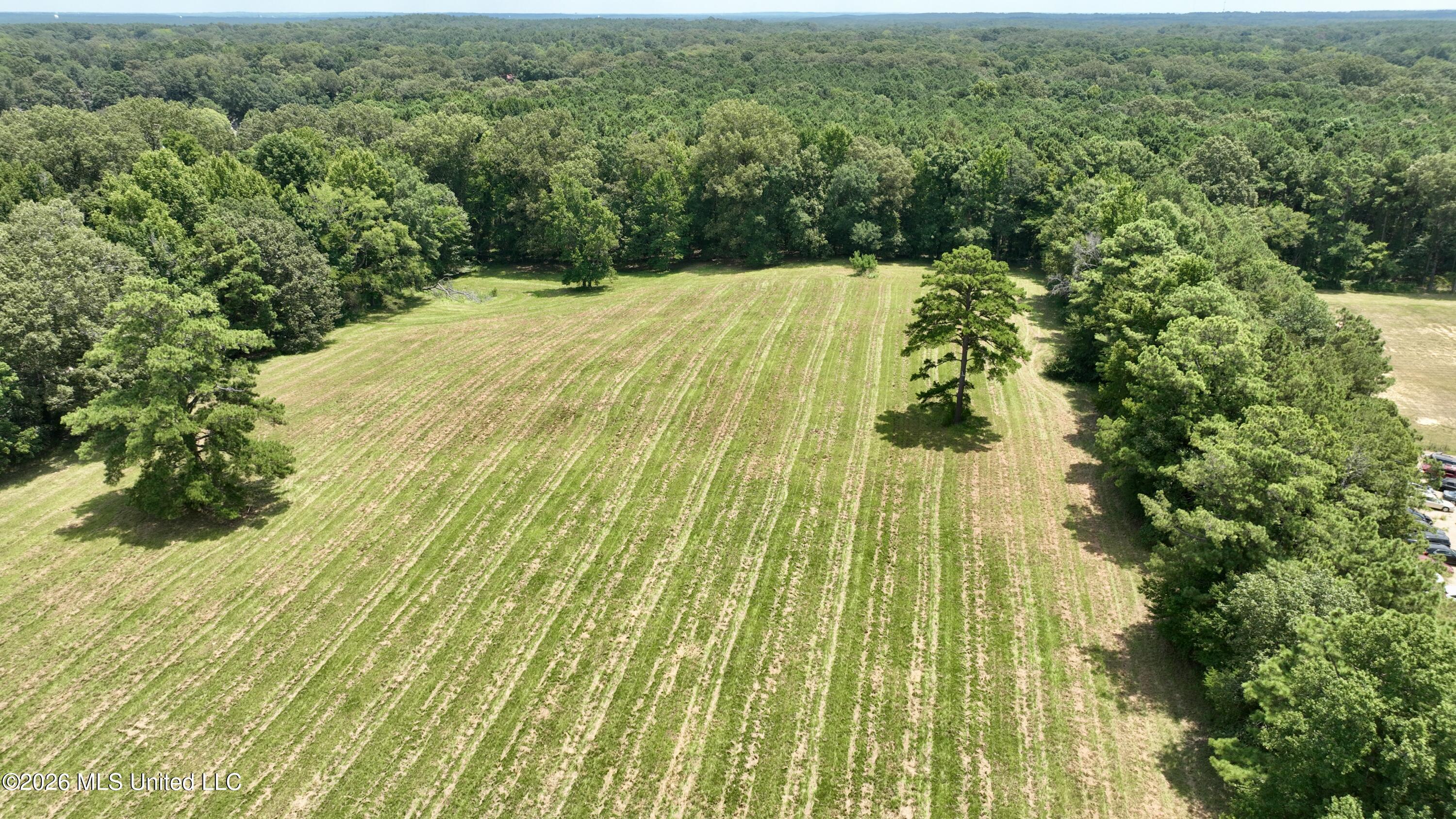 1530 Highway 49 Property Photo 29