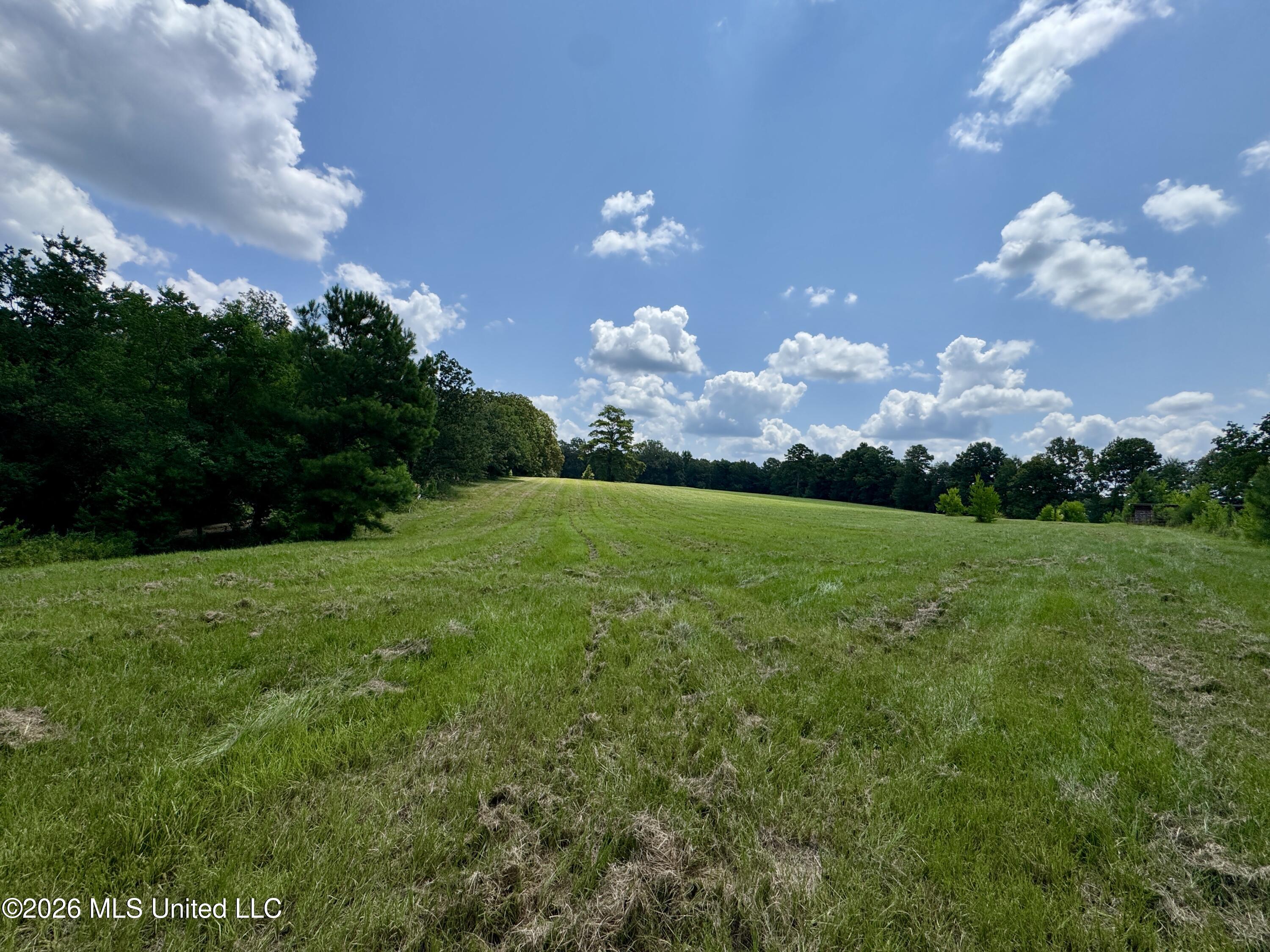 1530 Highway 49 Property Photo 30