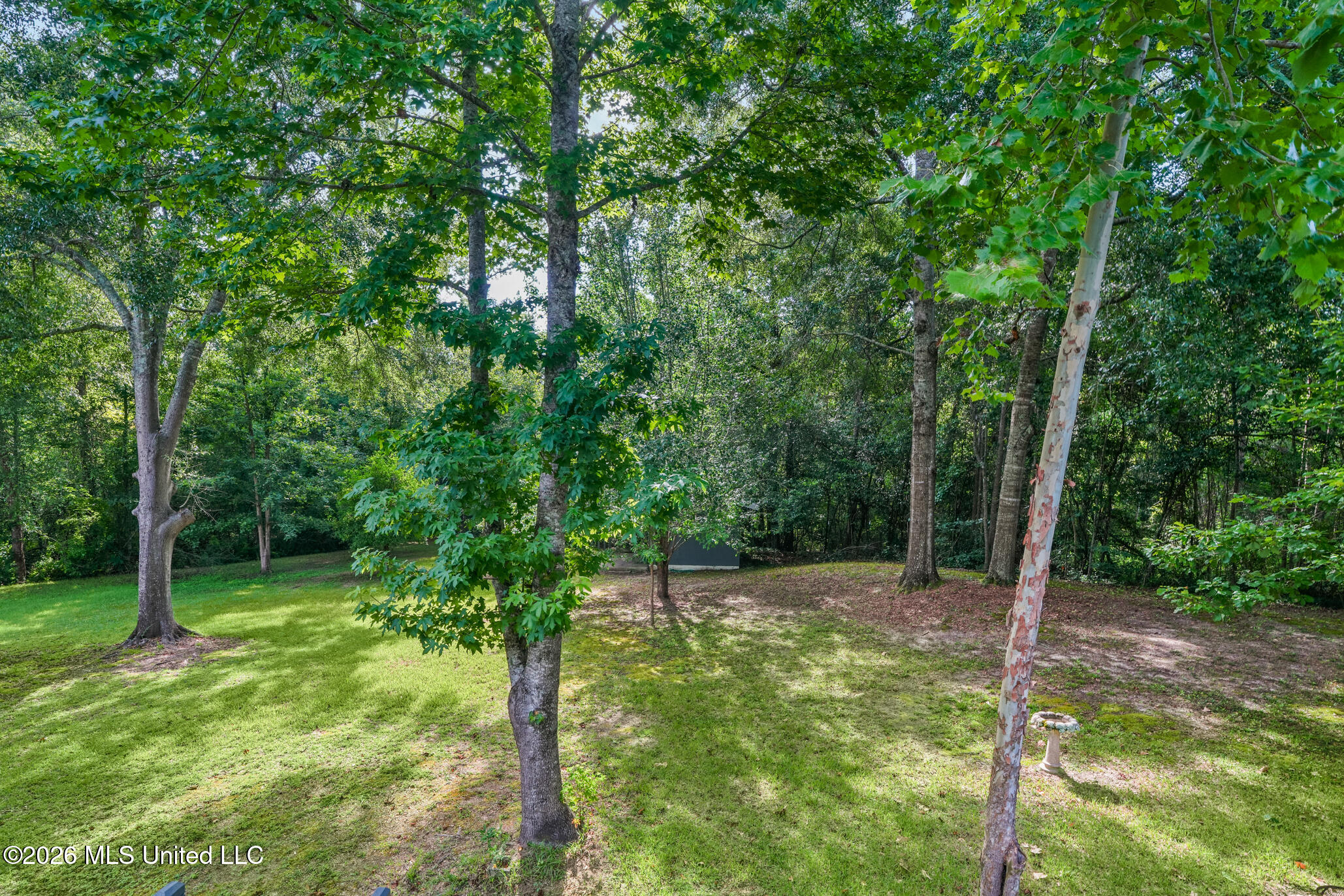 225 Hillman Road Property Photo 21