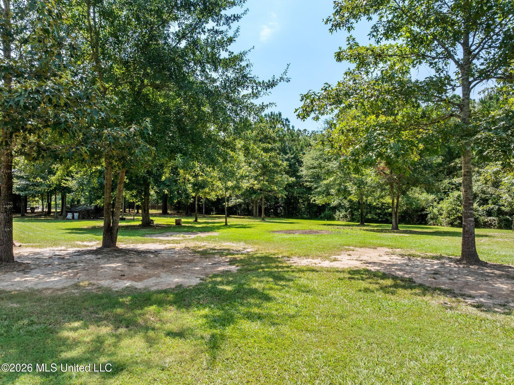 509 Quinlan Court Property Photo 53