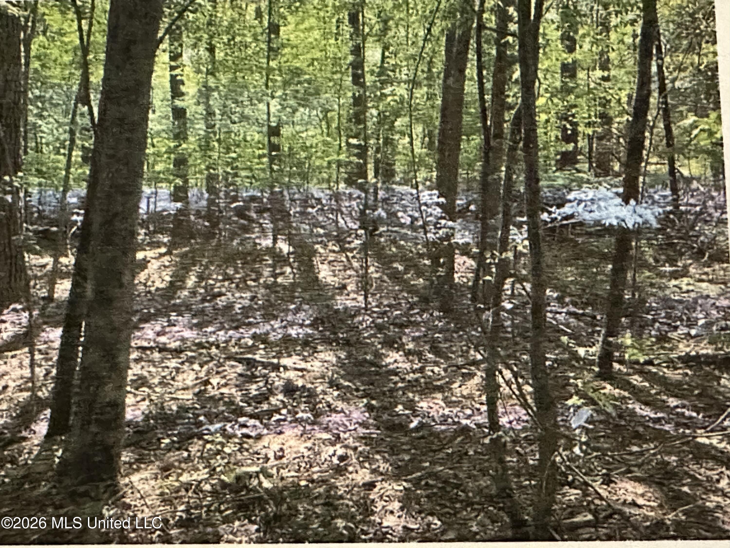 Stigler Rosa Drive Property Photo 1