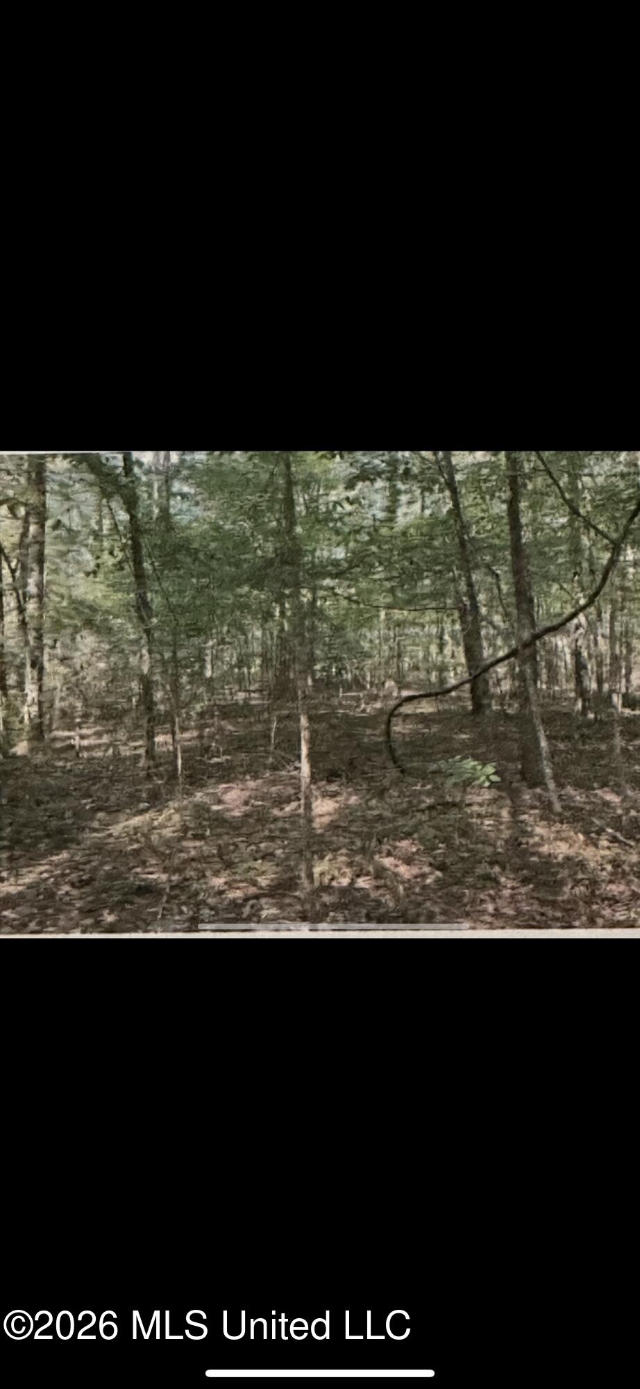 Stigler Rosa Drive Property Photo 2