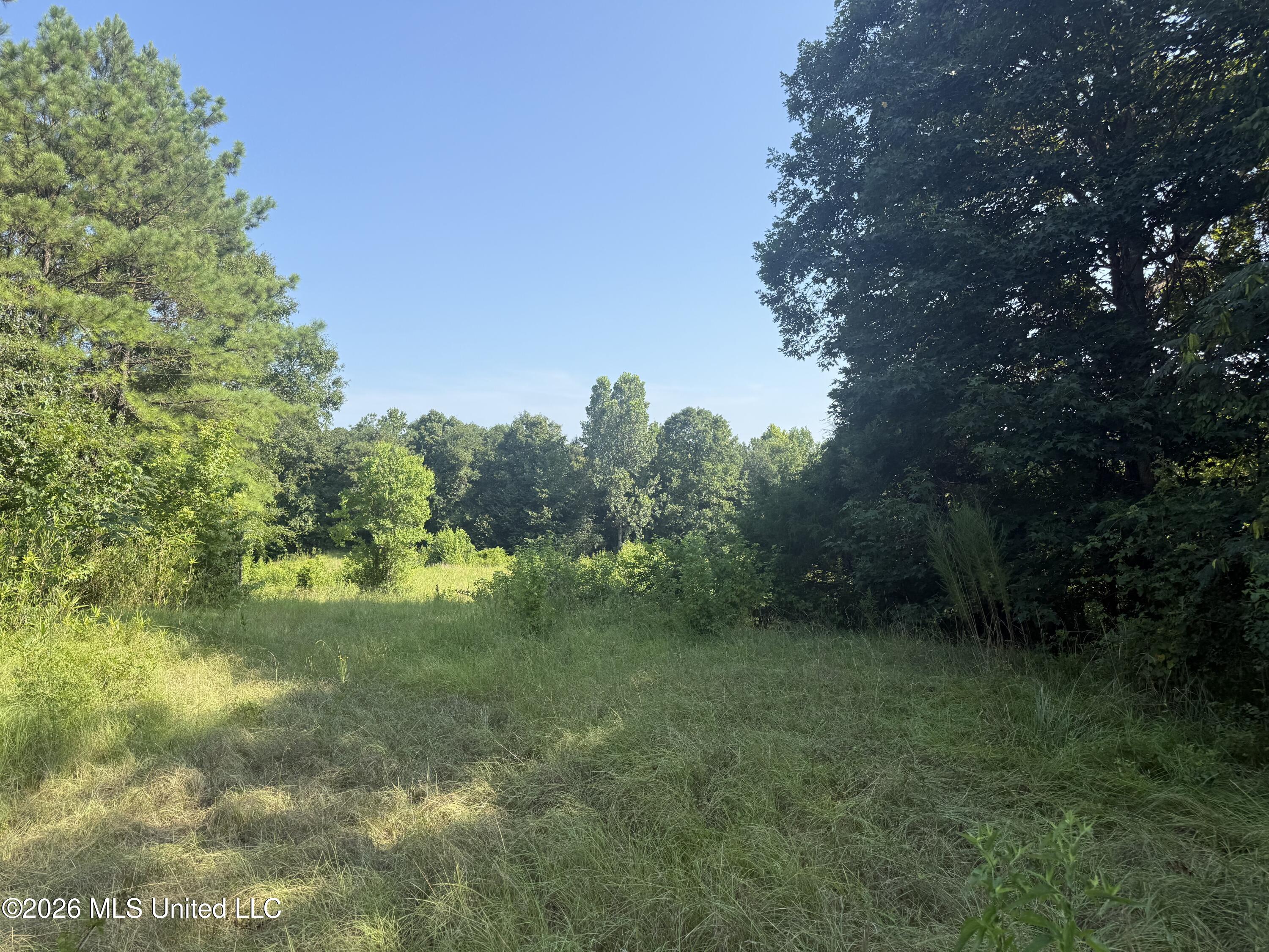Joe Hall Road Property Photo 4