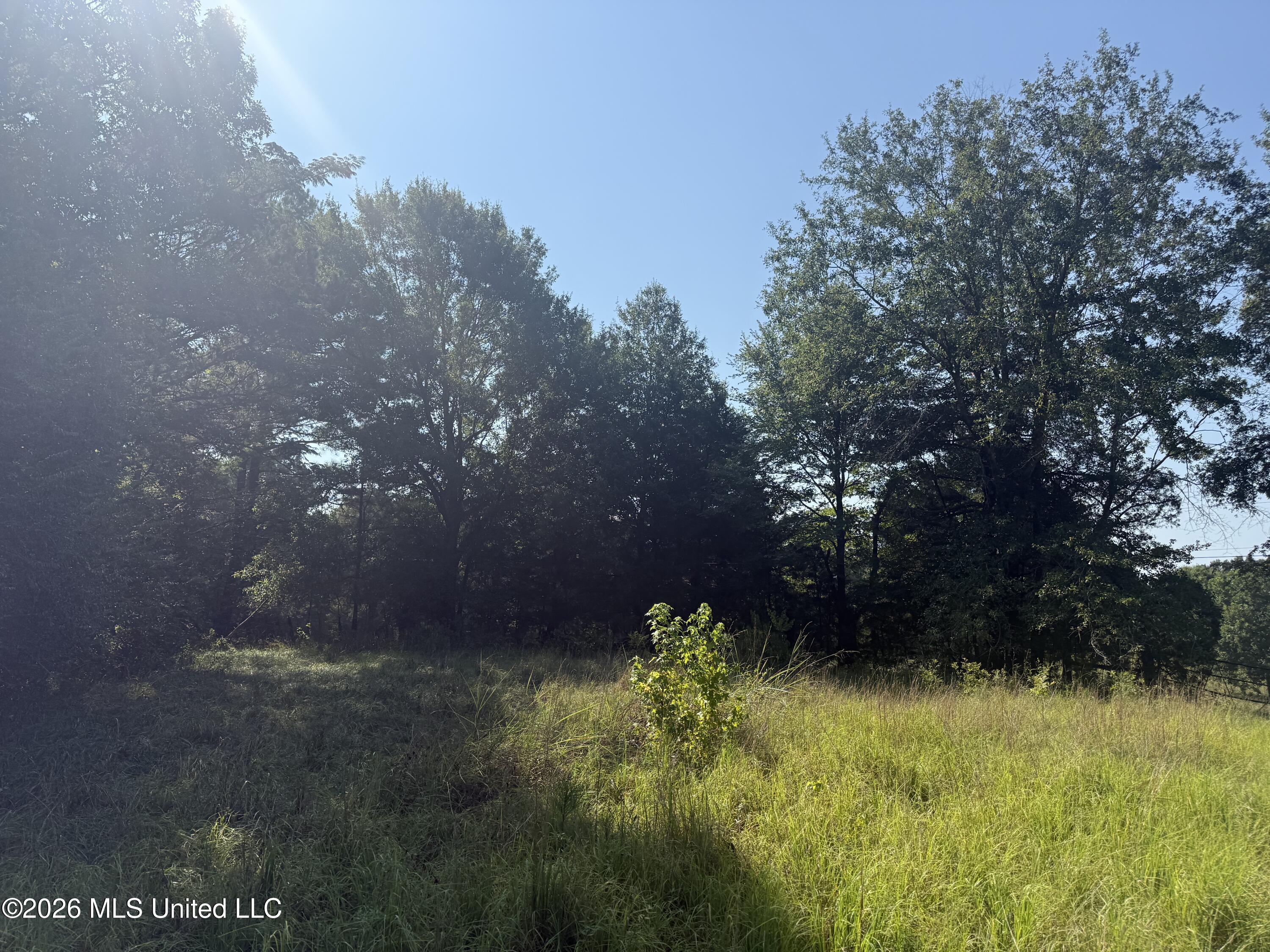 Joe Hall Road Property Photo 7