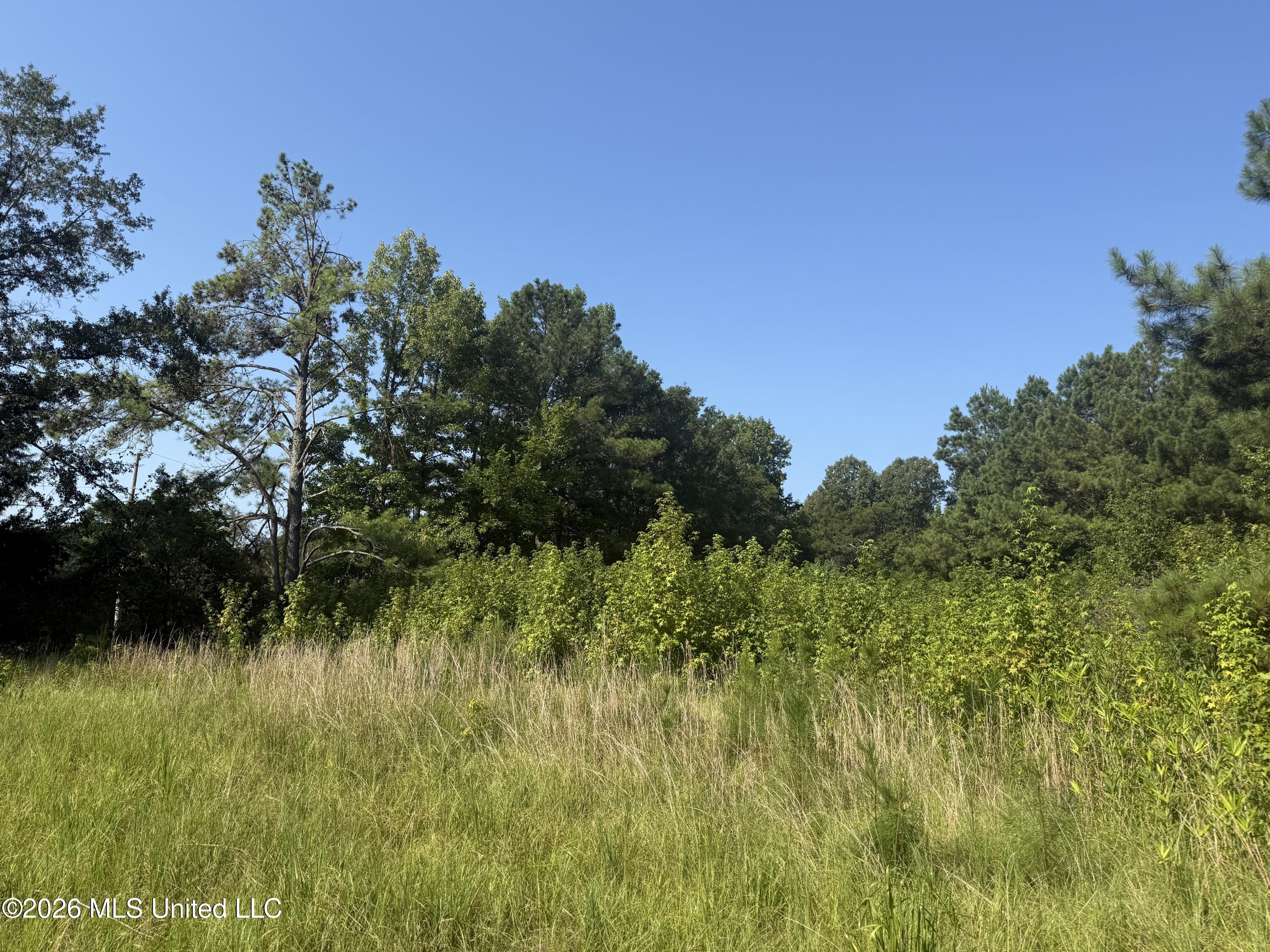 Joe Hall Road Property Photo 8
