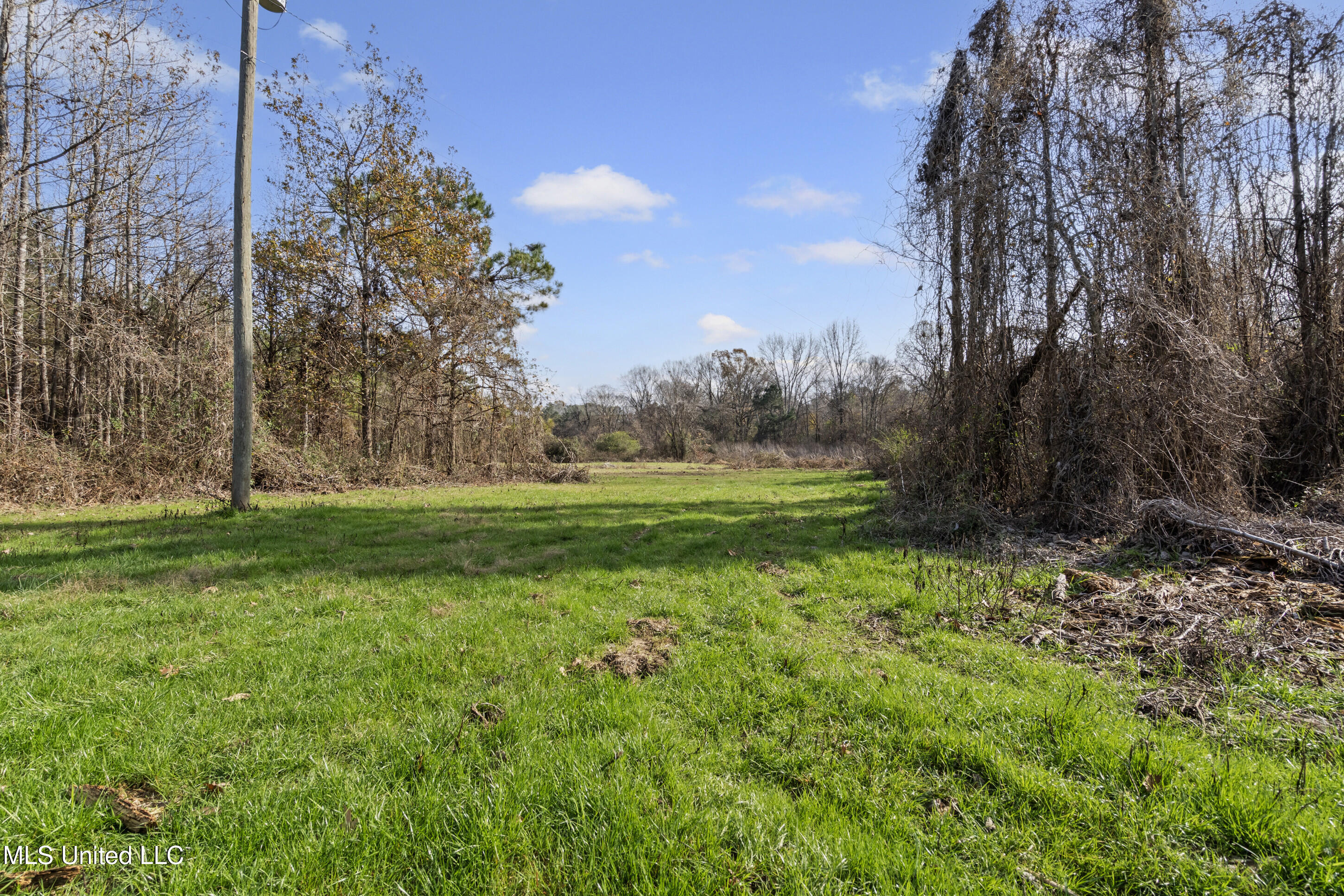 6920 Old Panola Road Property Photo 19