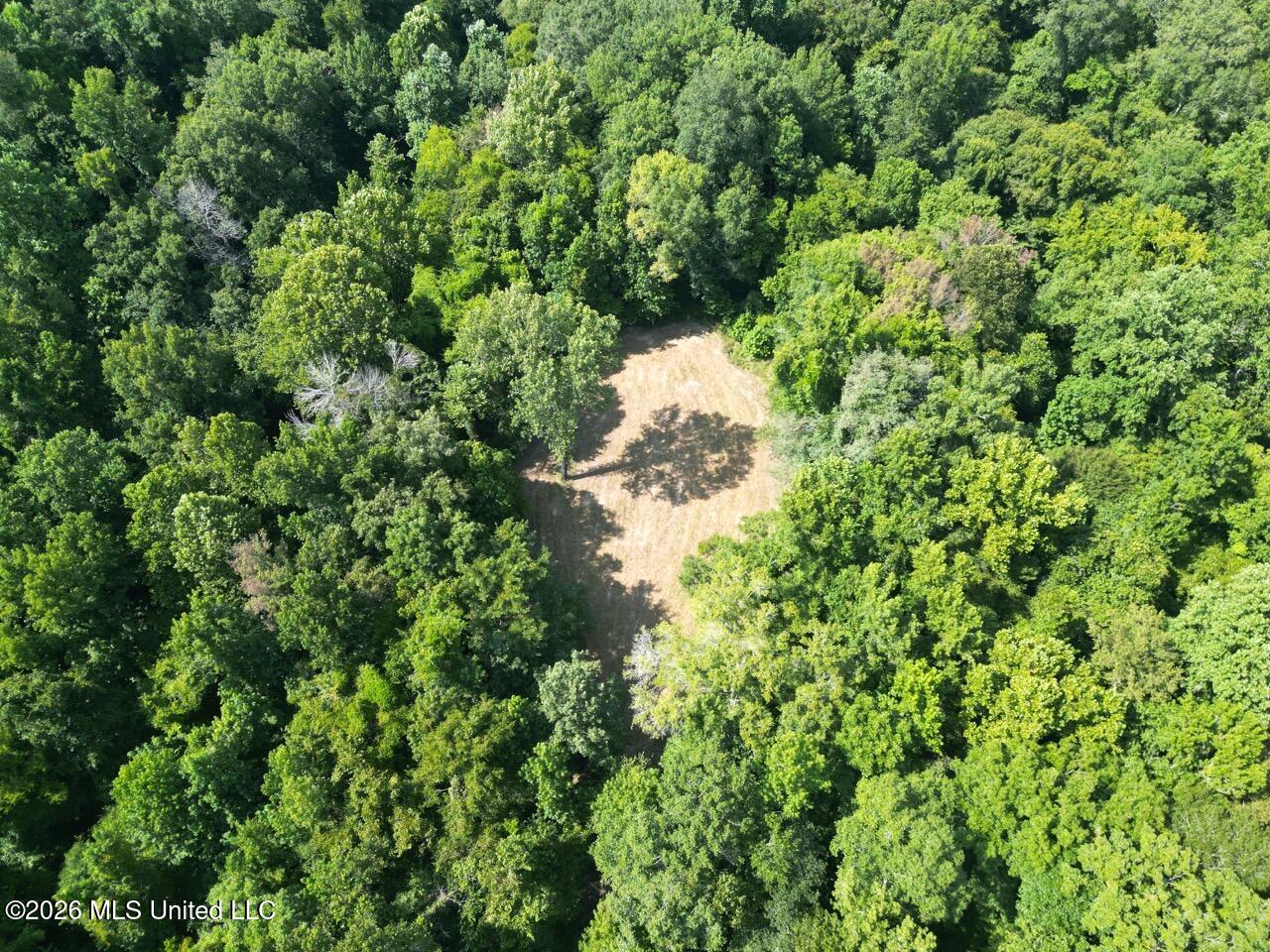 Oil Well Road Property Photo 8