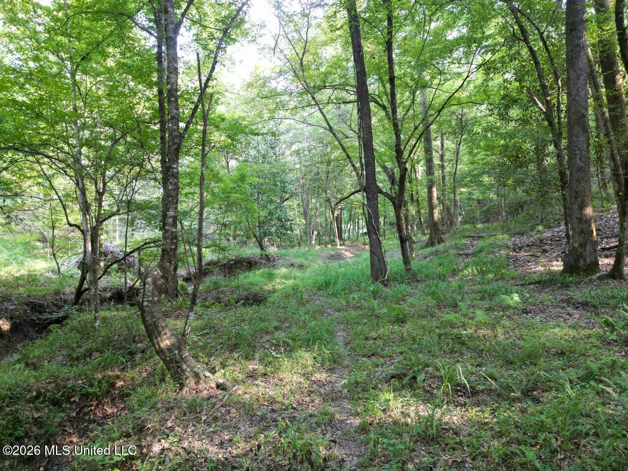 Oil Well Road Property Photo 10