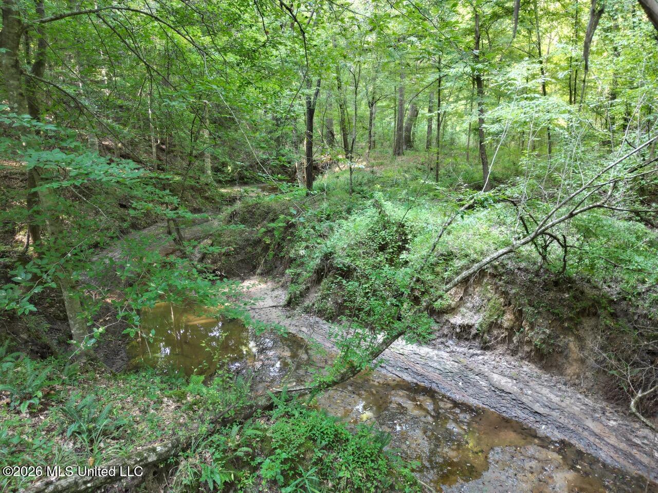 Oil Well Road Property Photo 11