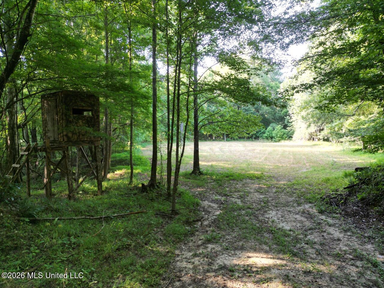 Oil Well Road Property Photo 15