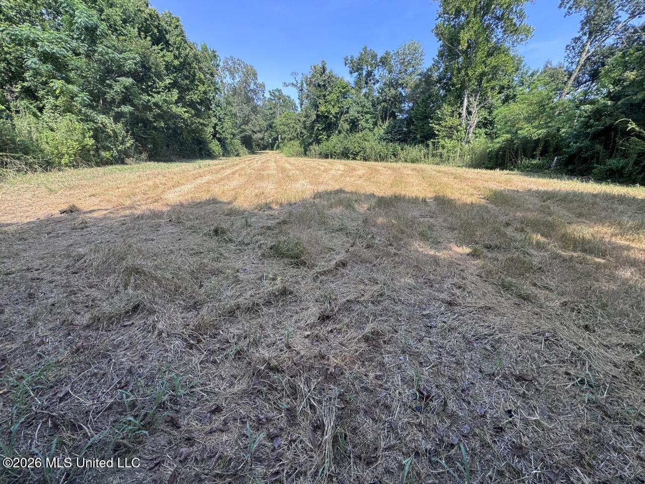 Oil Well Road Property Photo 20