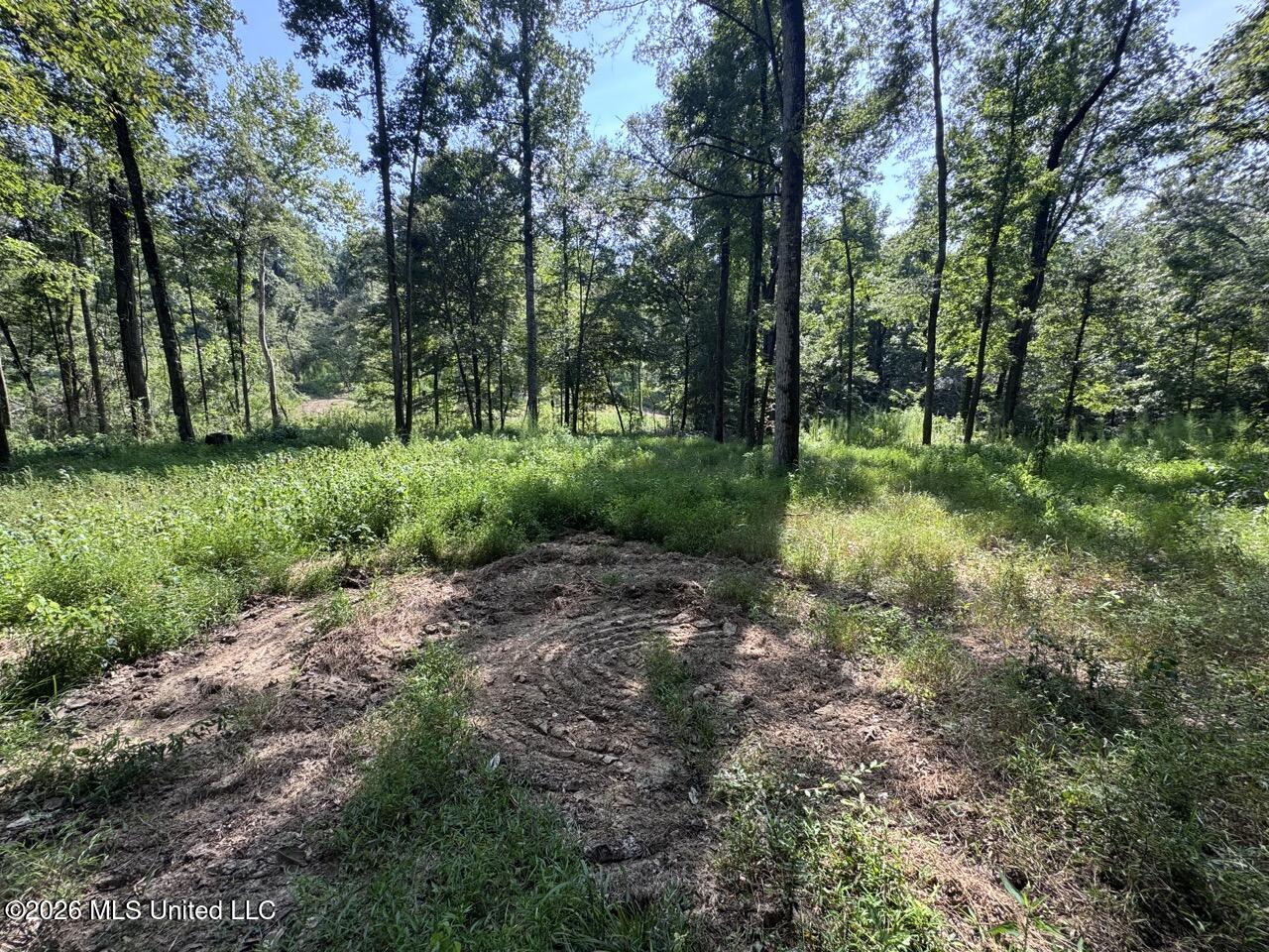 Oil Well Road Property Photo 21