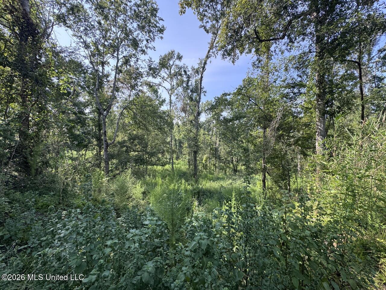Oil Well Road Property Photo 22