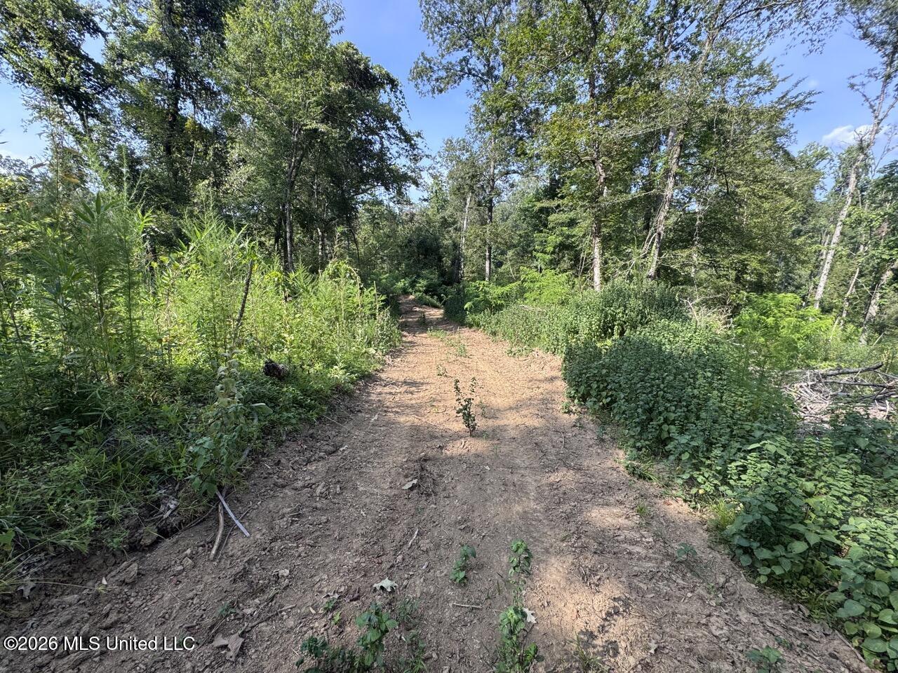 Oil Well Road Property Photo 23