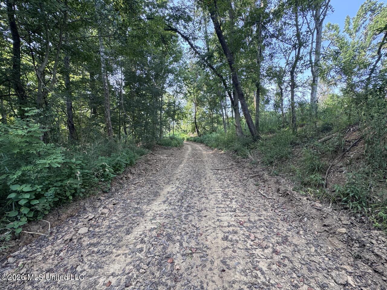 Oil Well Road Property Photo 25