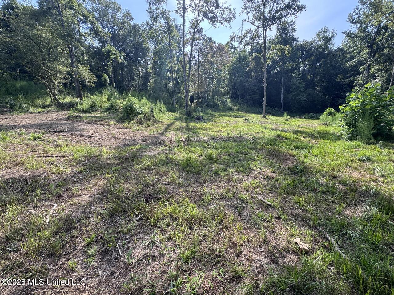 Oil Well Road Property Photo 26