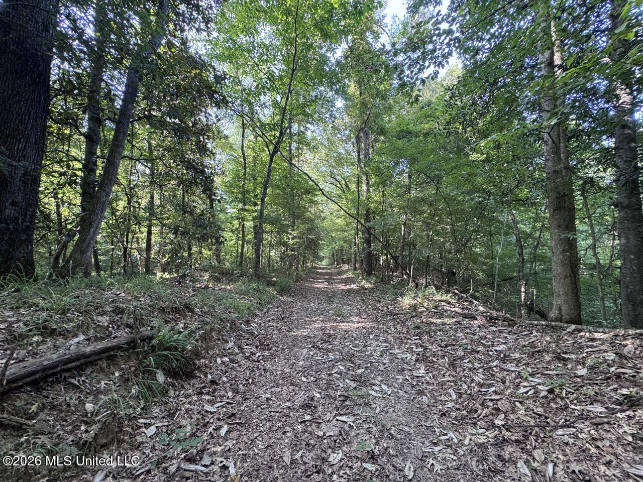 Oil Well Road Property Photo 27