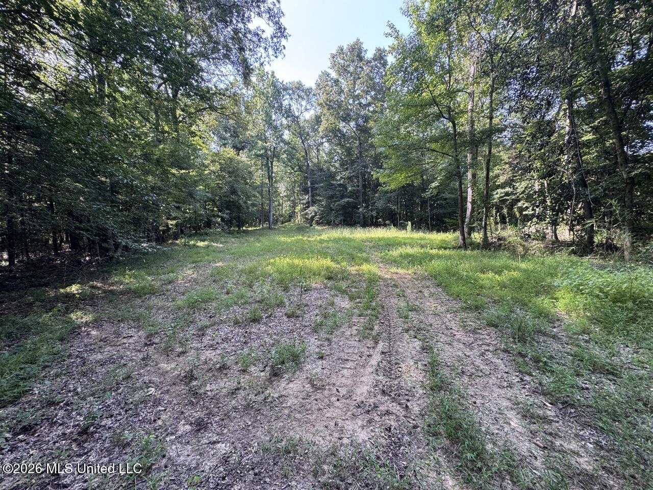 Oil Well Road Property Photo 28