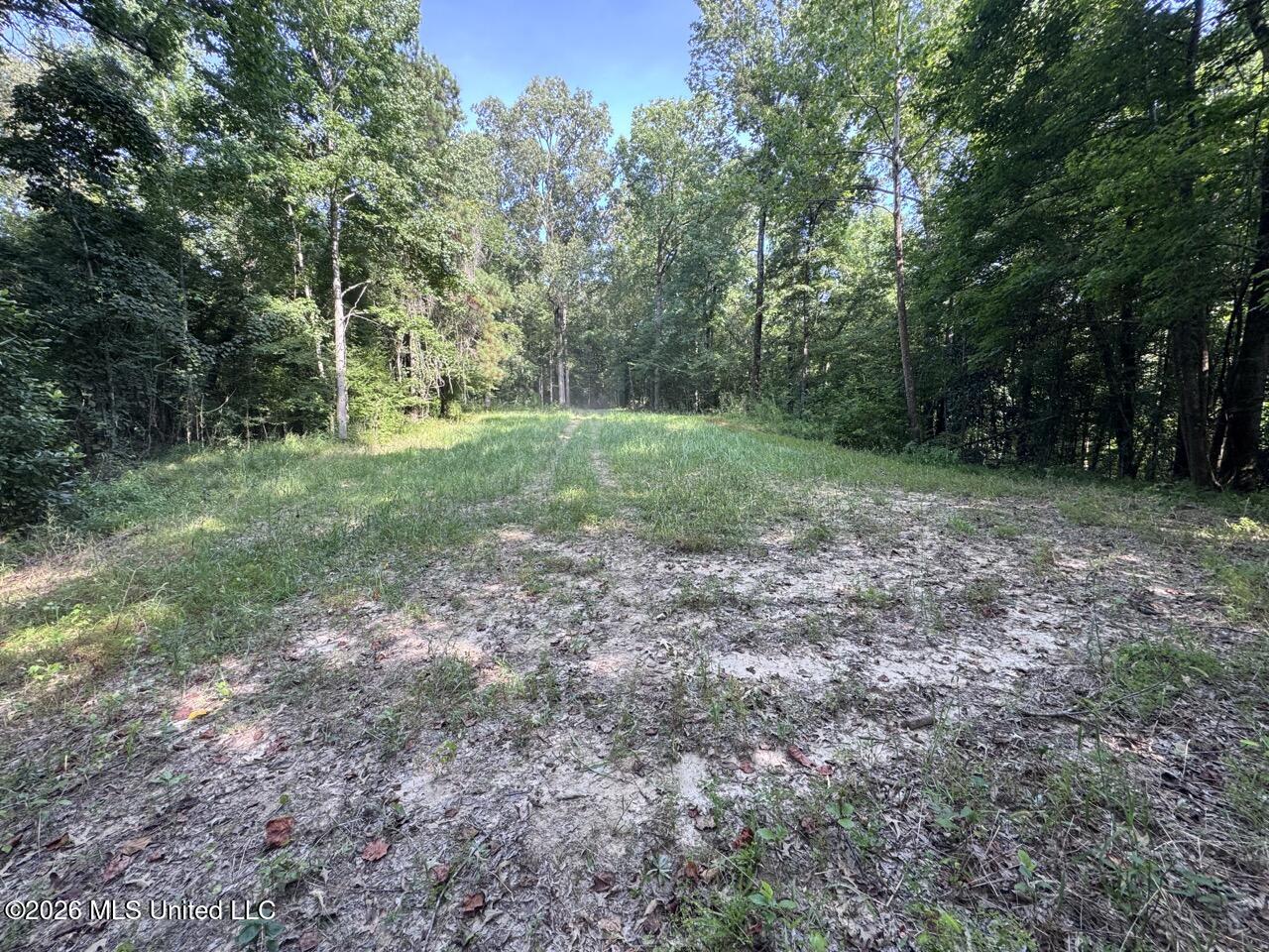 Oil Well Road Property Photo 29
