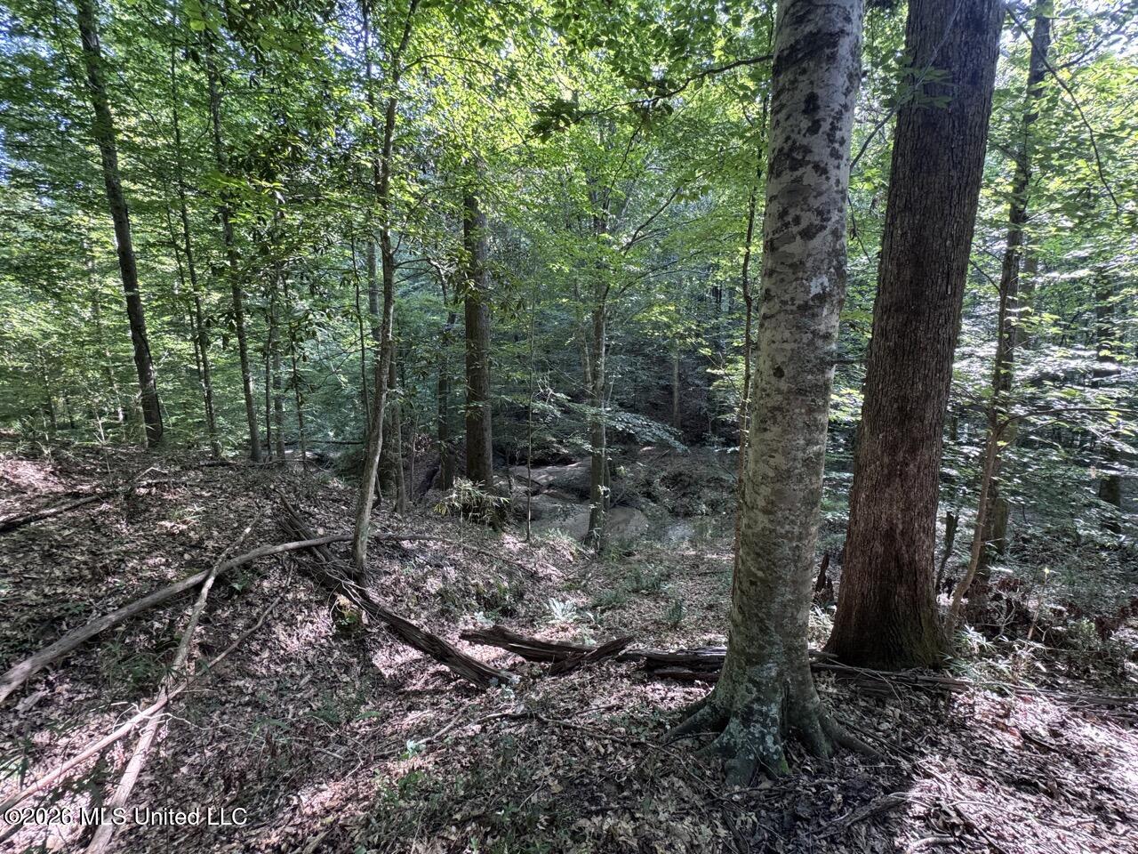 Oil Well Road Property Photo 31