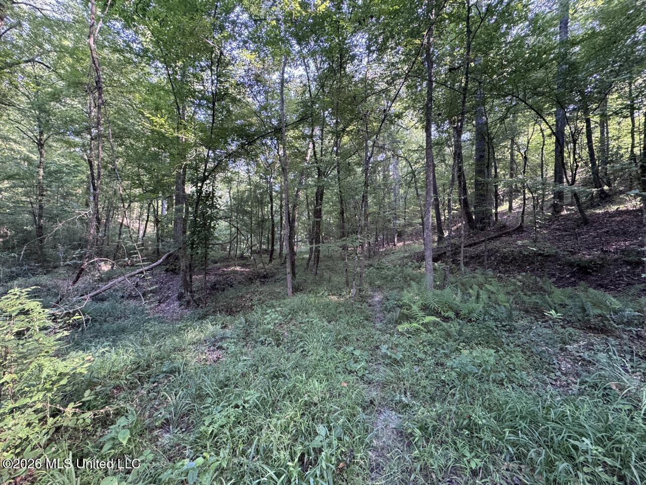 Oil Well Road Property Photo 33