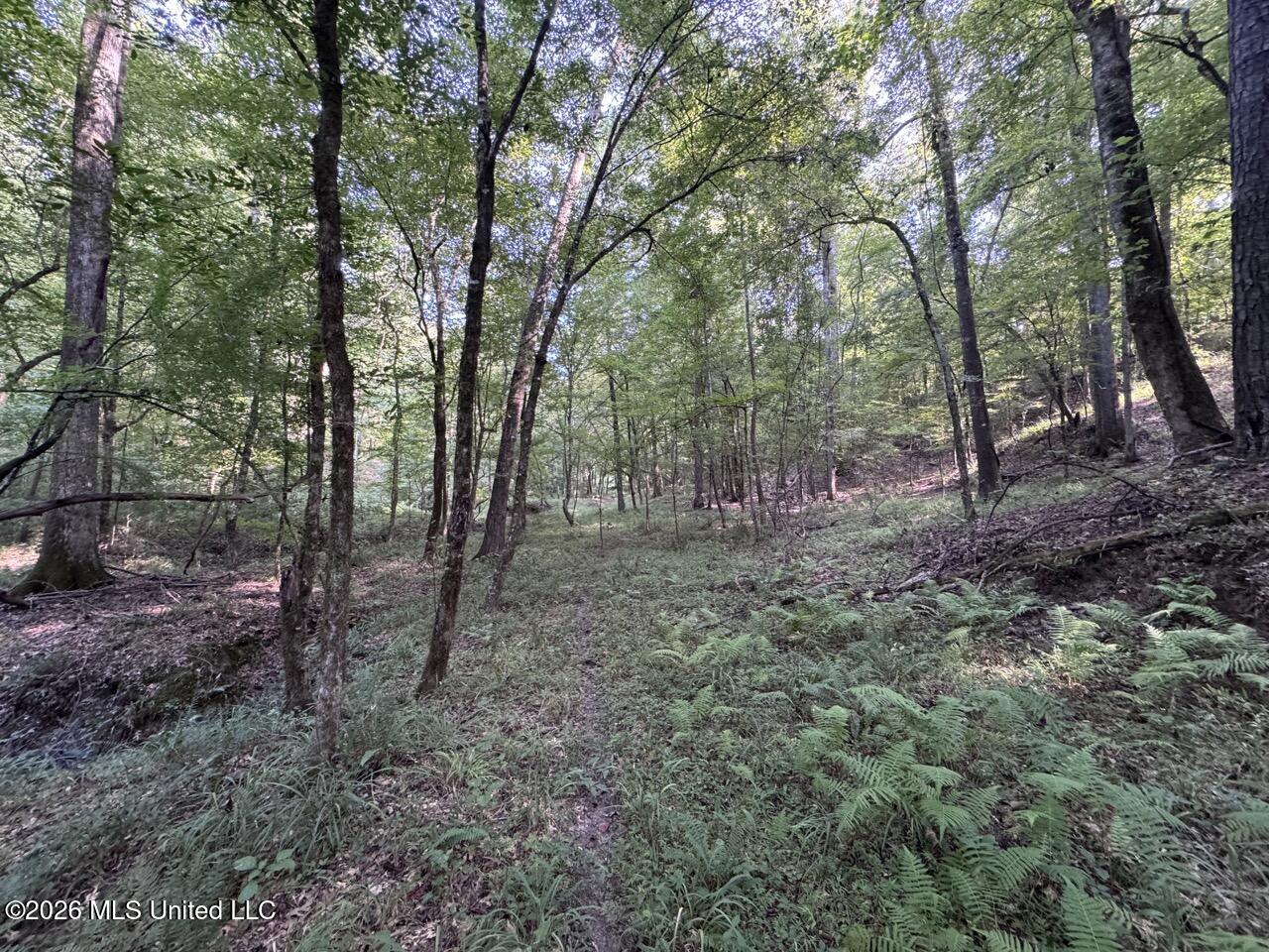 Oil Well Road Property Photo 34