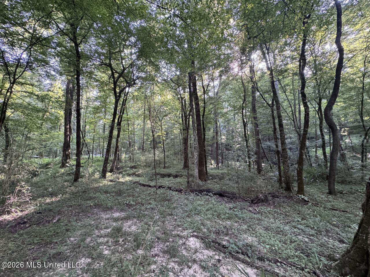 Oil Well Road Property Photo 37
