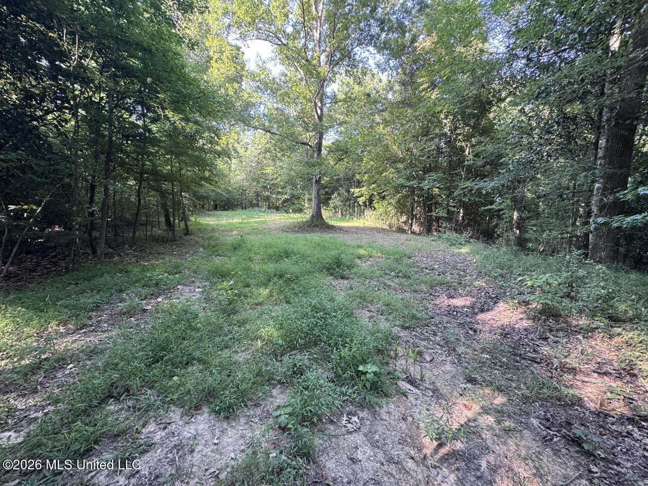 Oil Well Road Property Photo 38