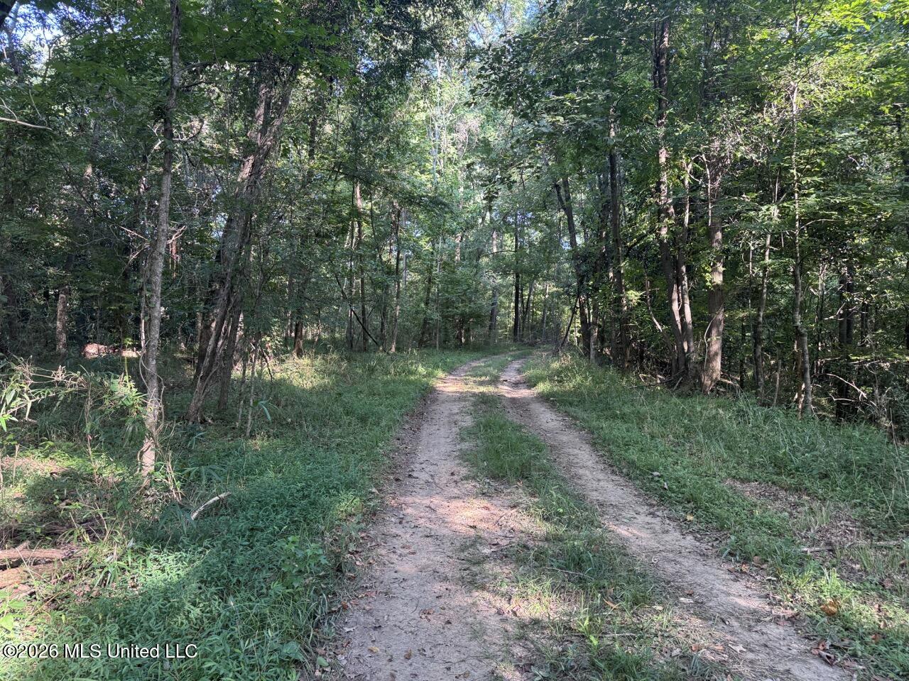 Oil Well Road Property Photo 39