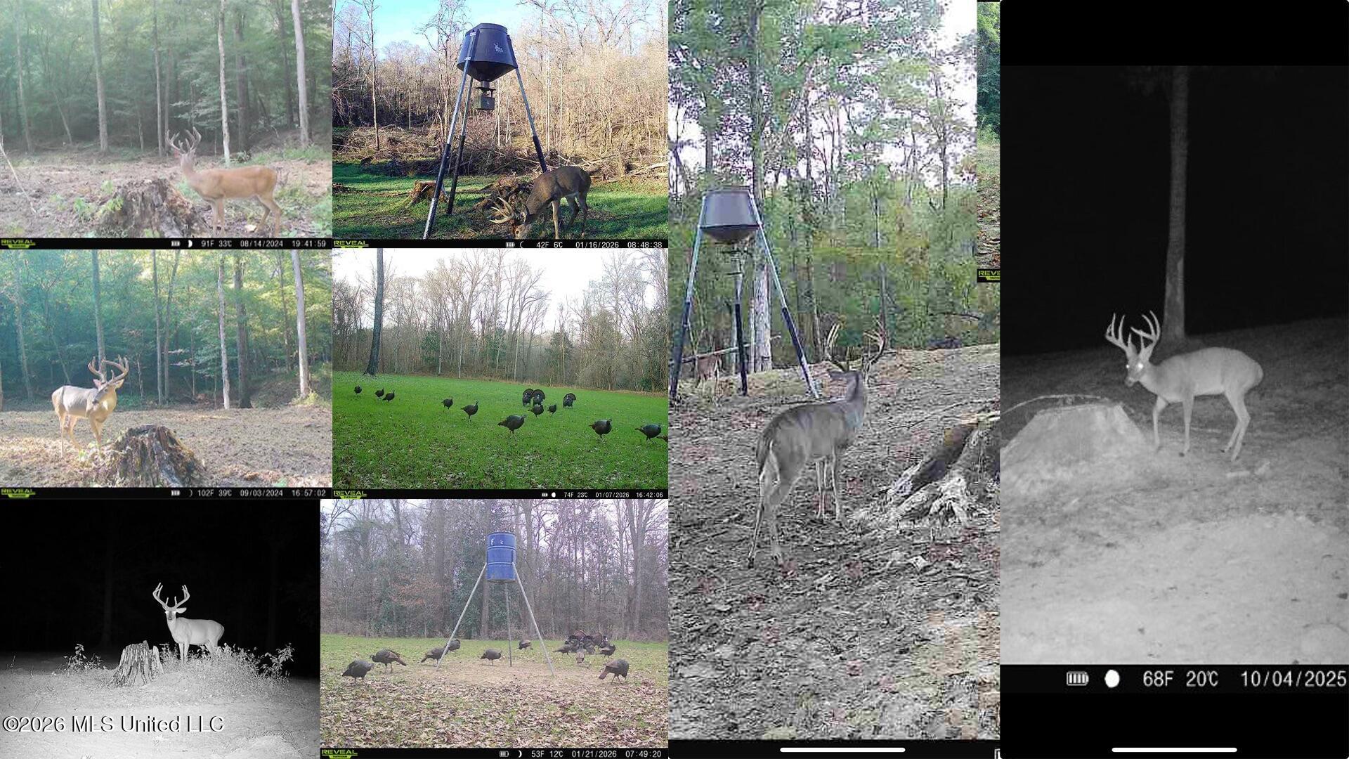 Oil Well Road Property Photo 40