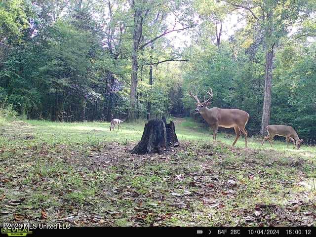 Oil Well Road Property Photo 46