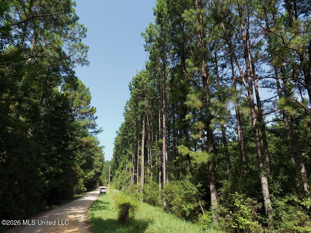 Remington Road Property Photo 8