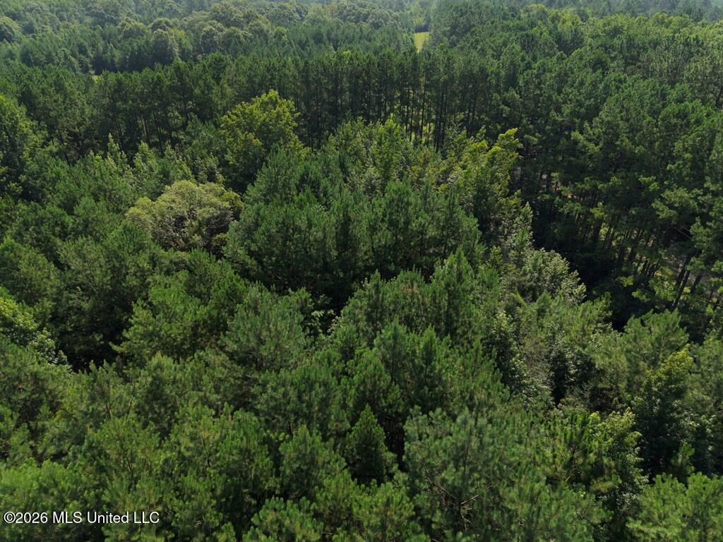 Remington Road Property Photo 11