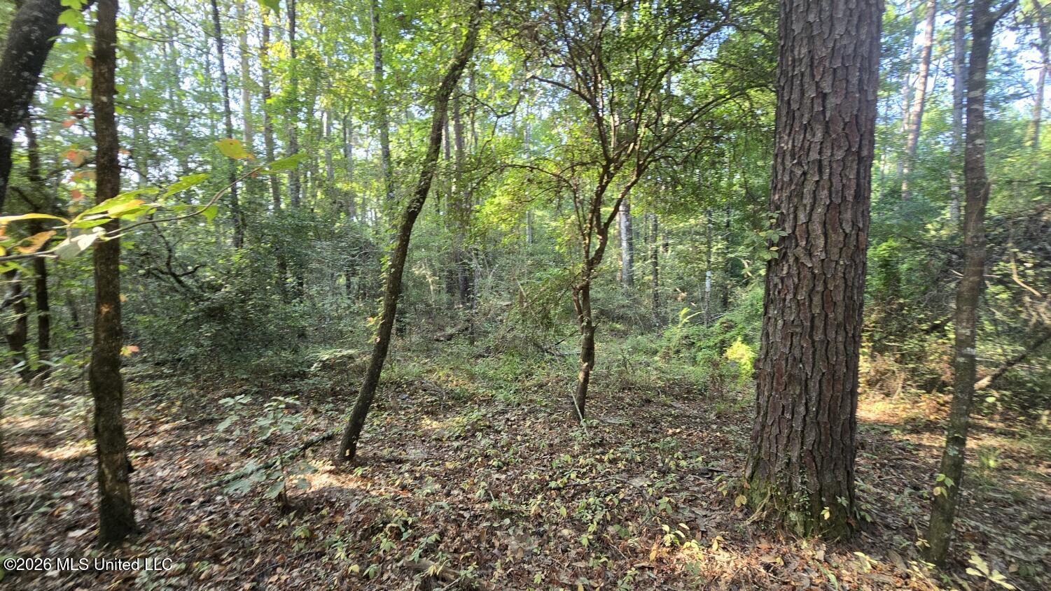 Stump Road Property Photo 1