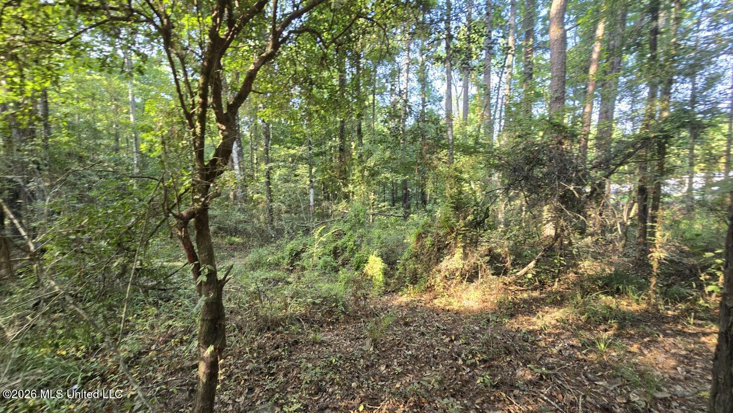 Stump Road Property Photo 2