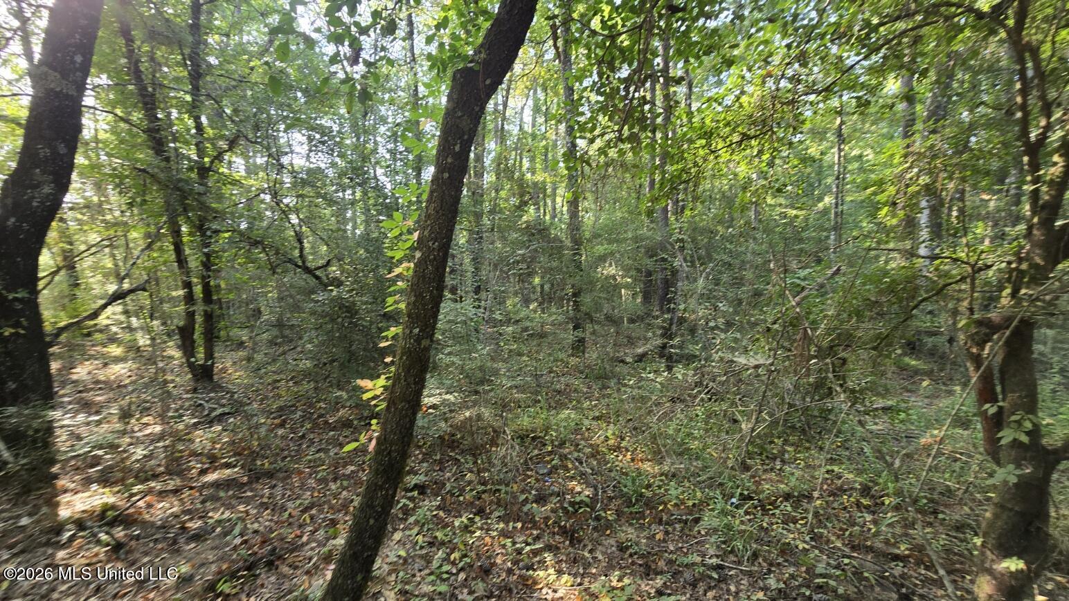 Stump Road Property Photo 3
