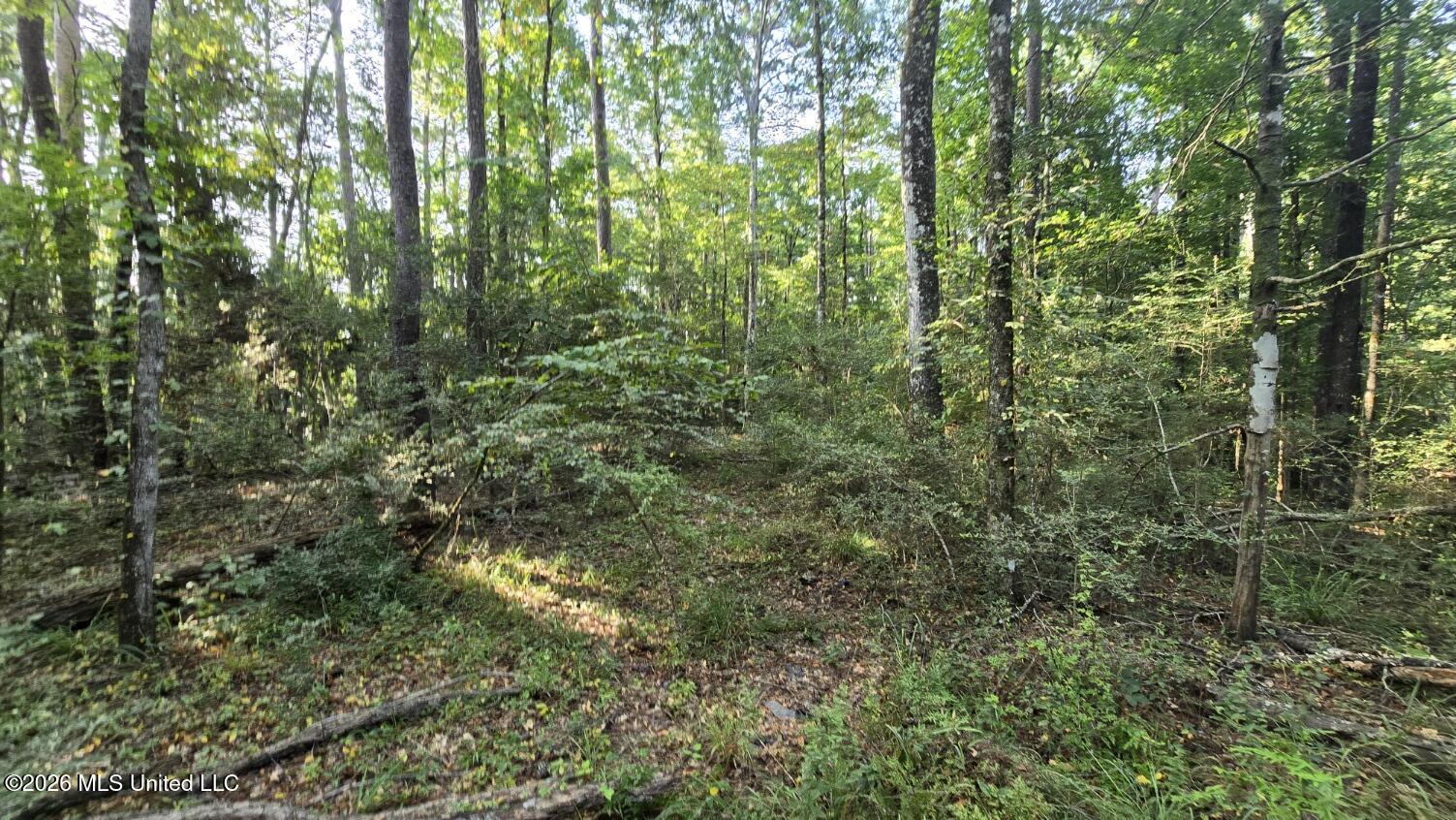 Stump Road Property Photo 4