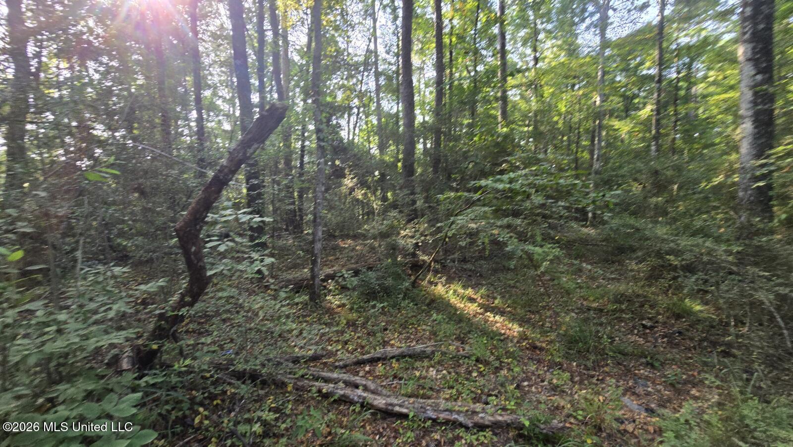 Stump Road Property Photo 5