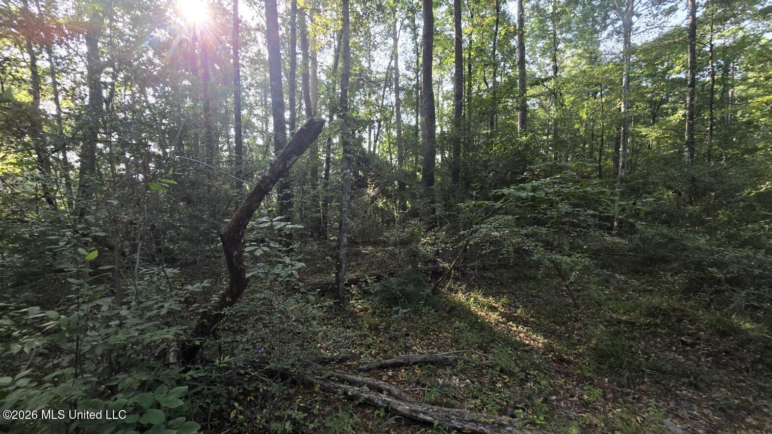 Stump Road Property Photo 6