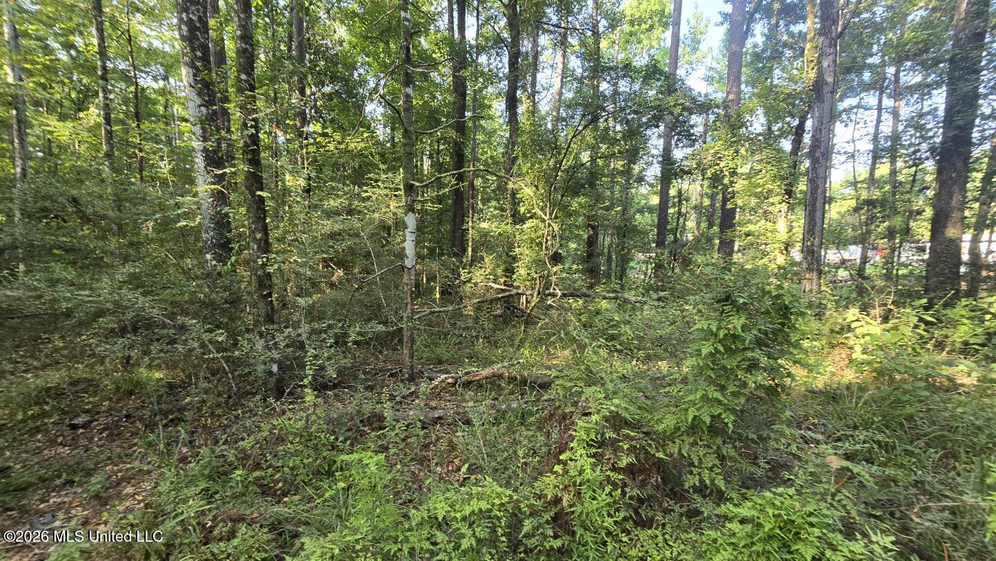 Stump Road Property Photo 7