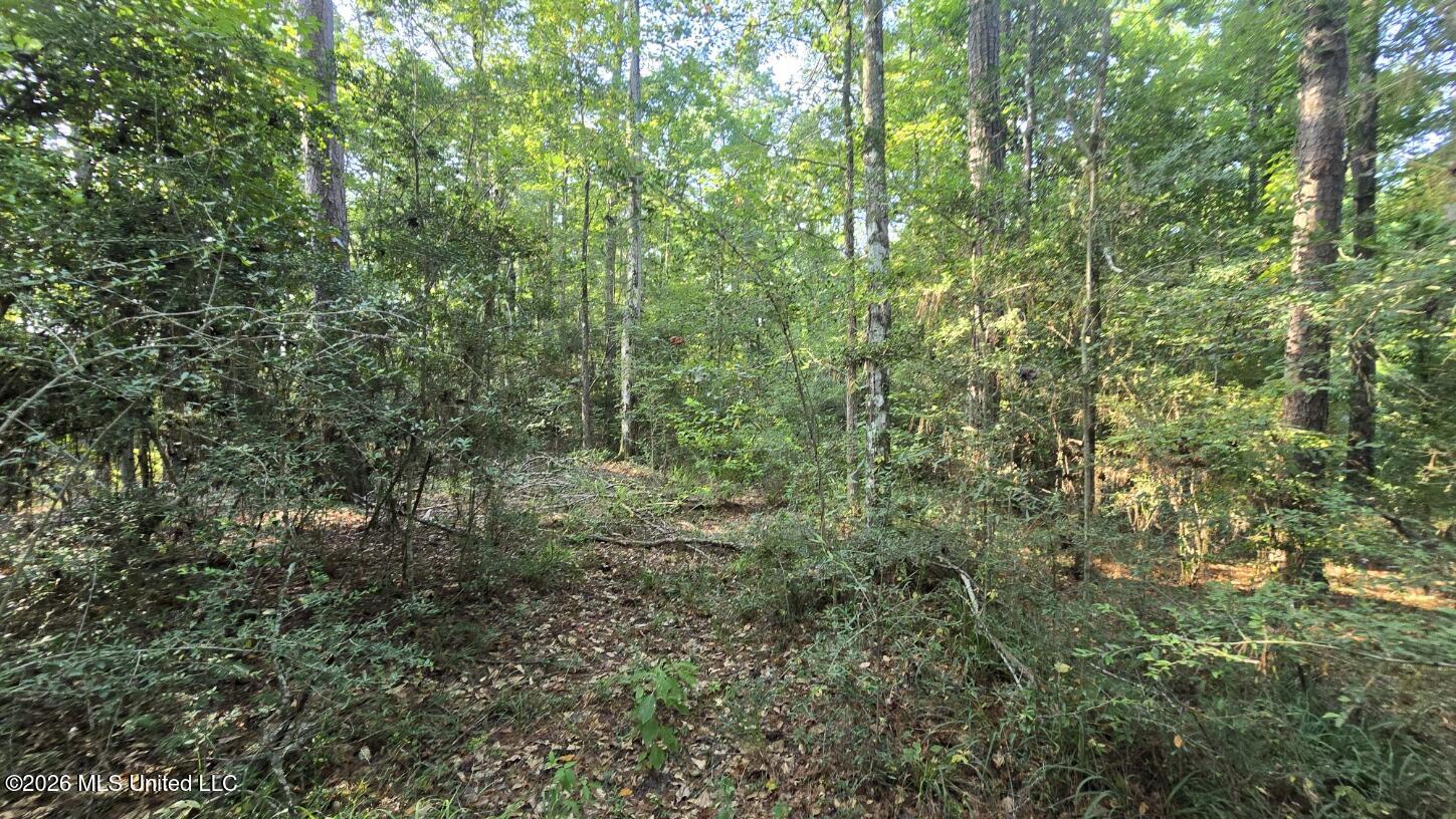 Stump Road Property Photo 8
