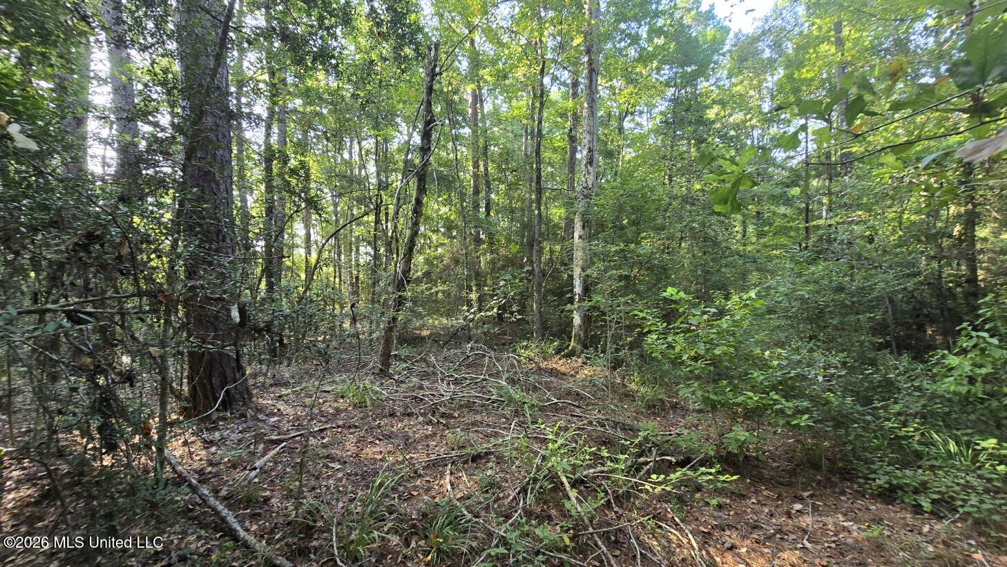 Stump Road Property Photo 9