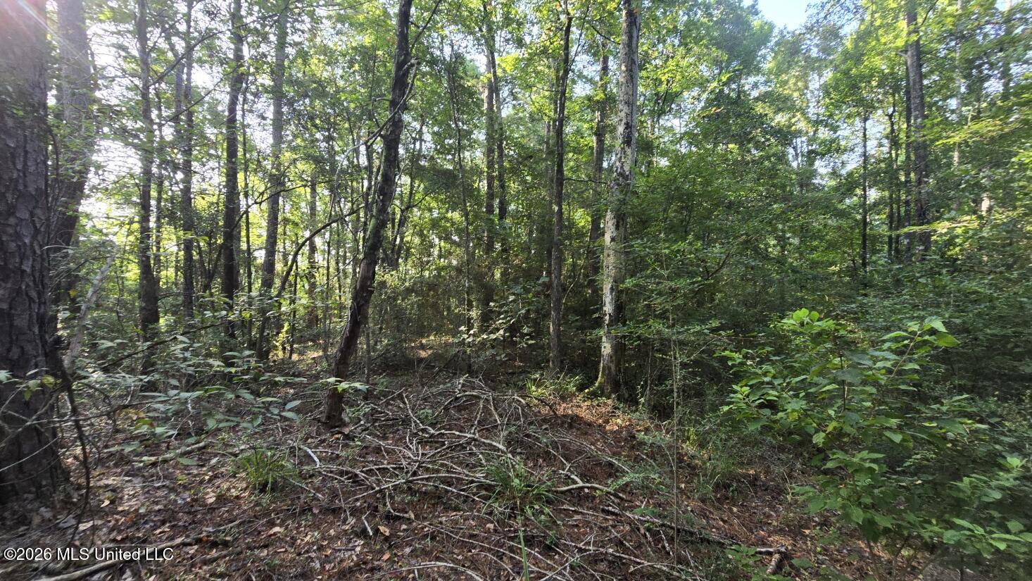 Stump Road Property Photo 10