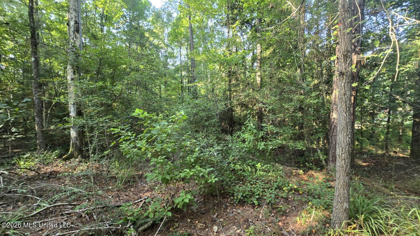 Stump Road Property Photo 11