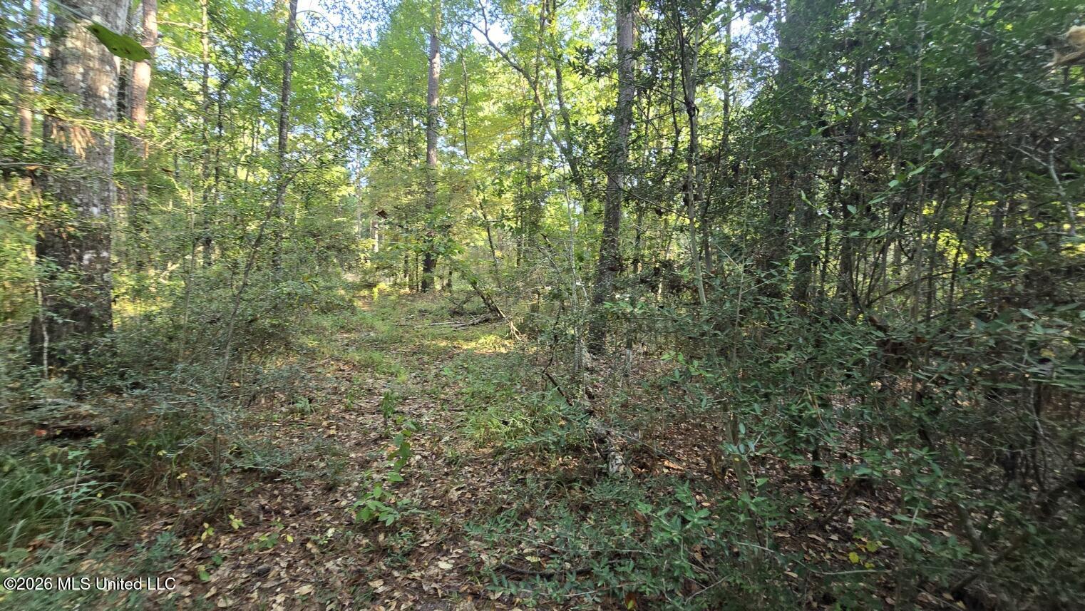 Stump Road Property Photo 12