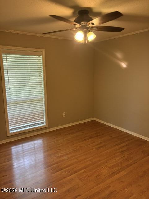 250 Barry Street Property Photo 11