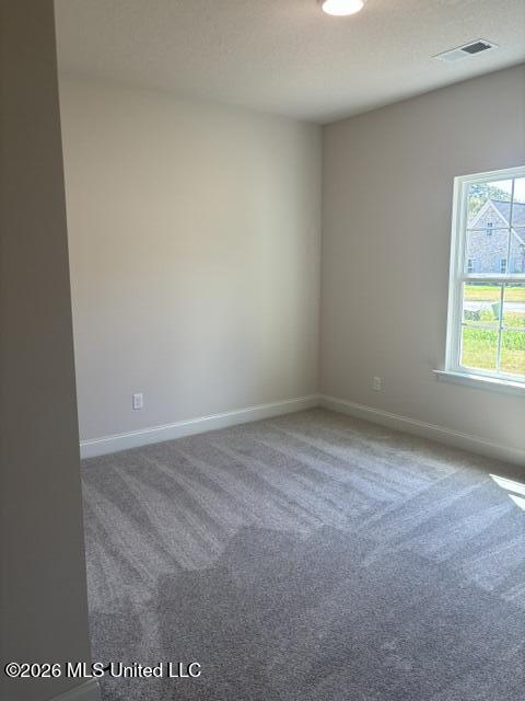 946 Buttermilk Drive Property Photo 12