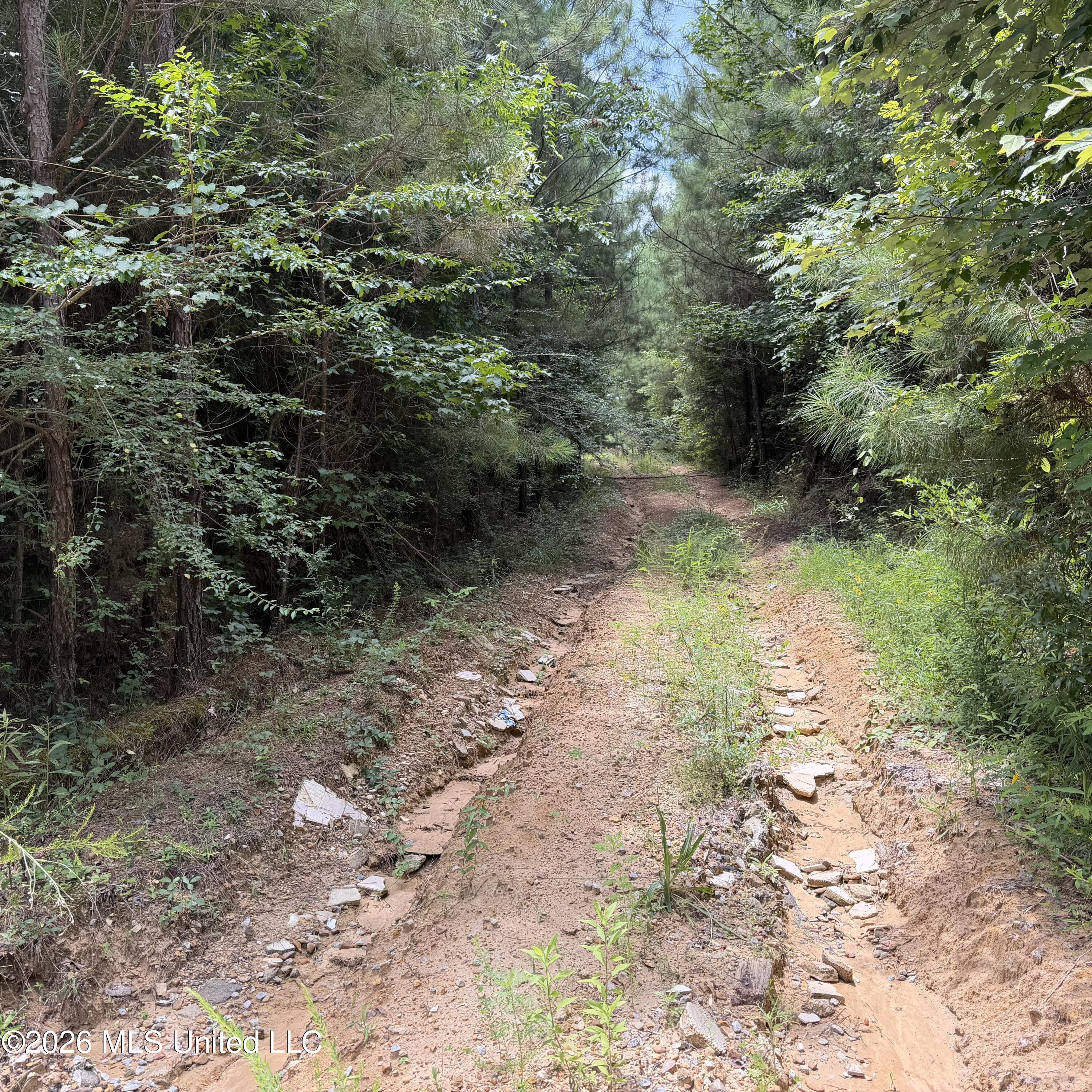 7510 Morton-marathon Road Property Photo 1