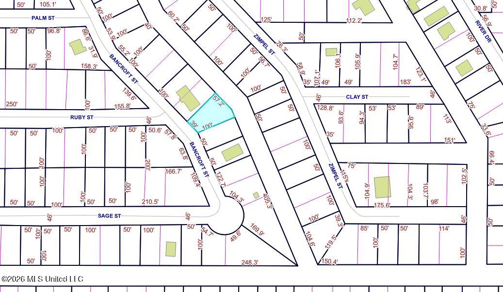 Bancroft Street Property Photo 2