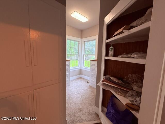 408 Broad Street Property Photo 45